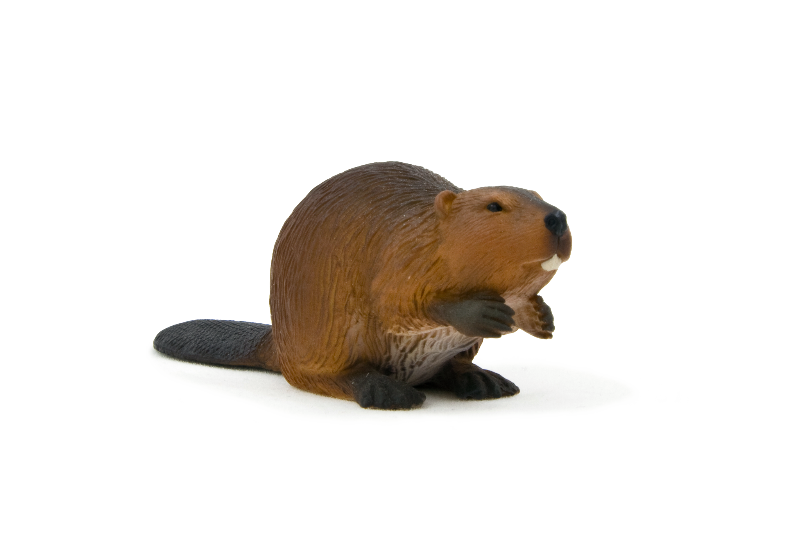 Beaver Toy Realistic Wildlife Figurine