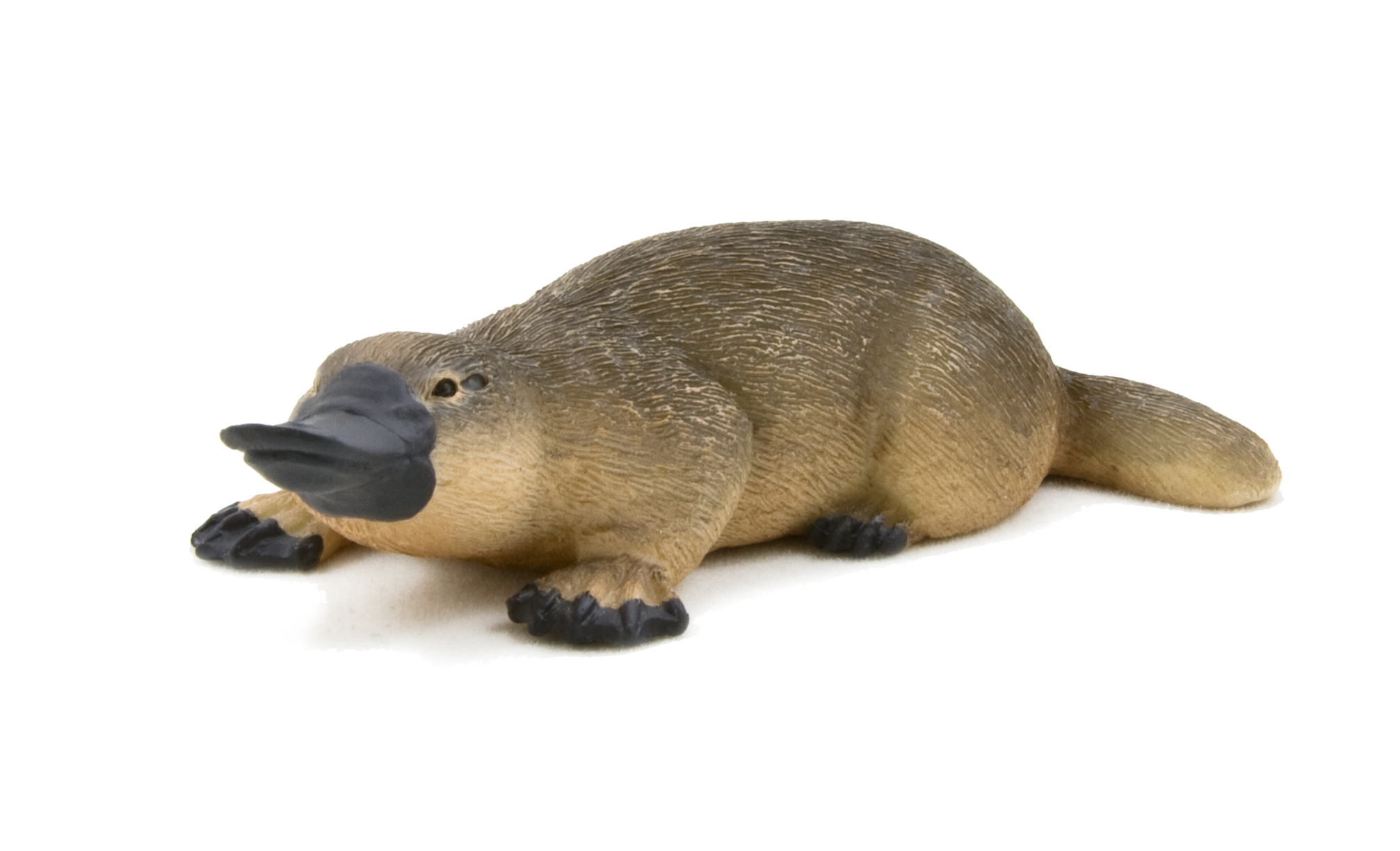 Duck-Billed Platypus Toy Realistic Australian Wildlife Model