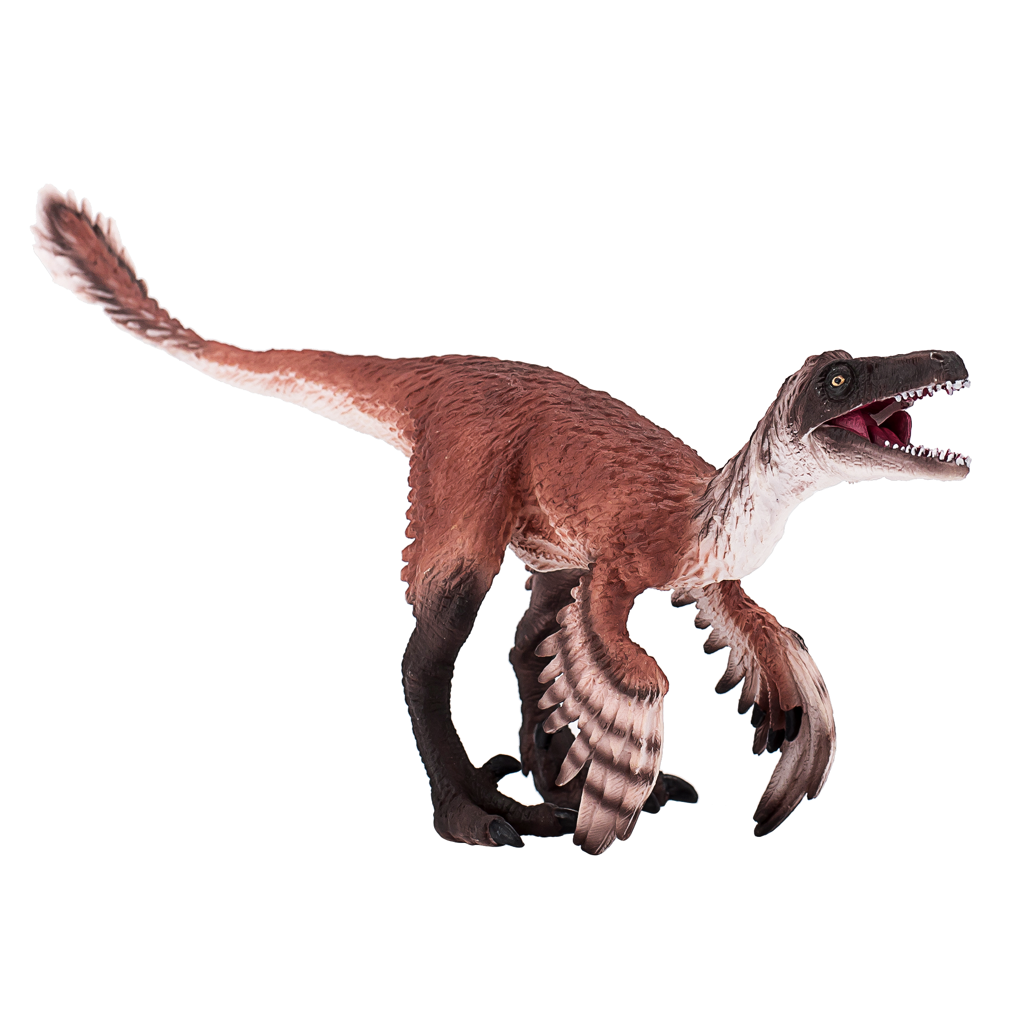 Troodon with Articulated Jaw Realistic Dinosaur Model