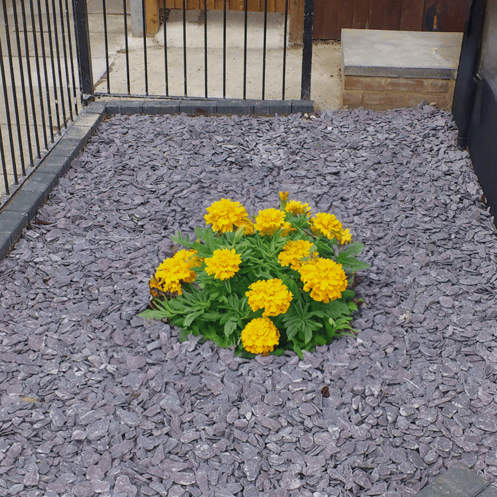 40mm Plum Slate Chippings - Zestio