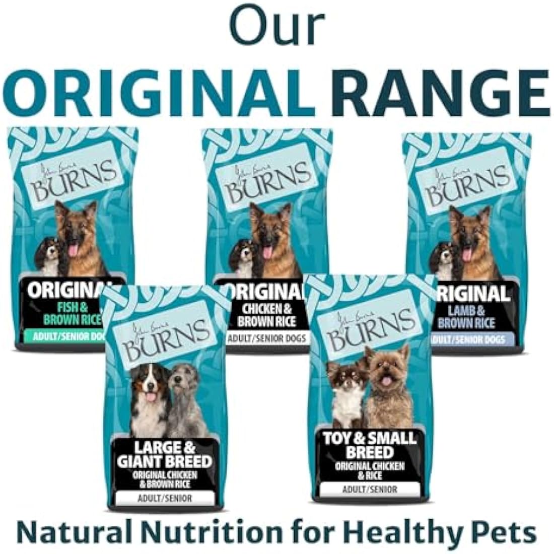Burns Pet Nutrition Hypoallergenic Complete Dry Dog Food Adult and Senior Dog Original Fish and Brown Rice 12 kg