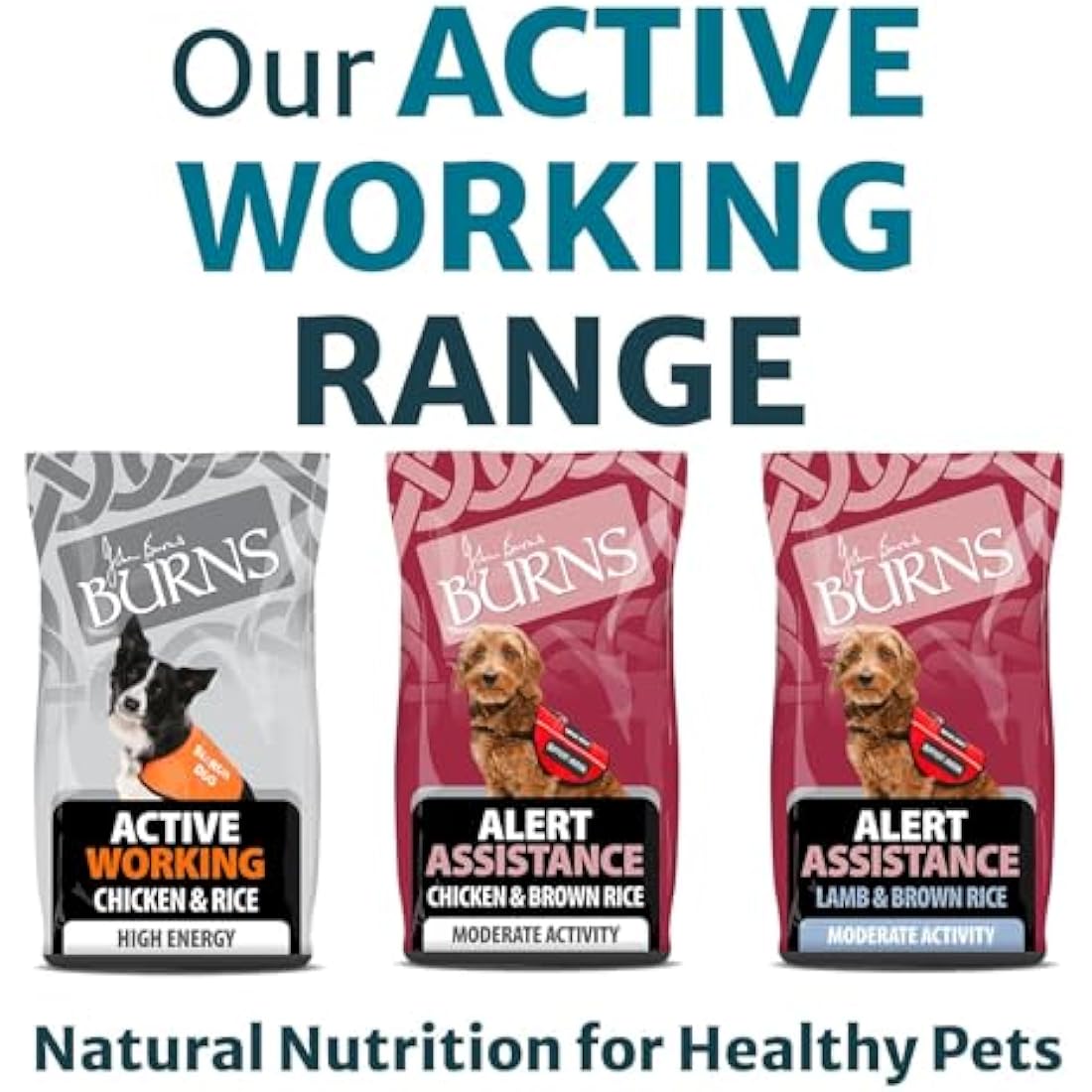 Burns Pet Nutrition Hypoallergenic Complete Dry Dog Food Adult and Senior Dog Alert Lamb and Brown Rice 12 kg