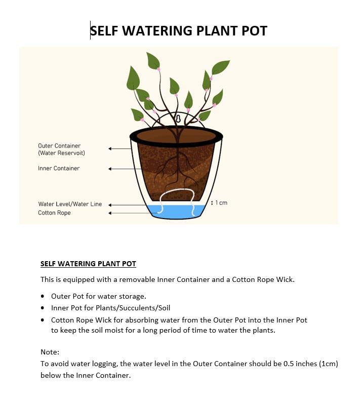 ShoppeWatch Self Watering Wall Planters for Indoor Plants 7 Pack Medium 5 Inch with Hooks | Outdoor Wall Pots for Plants | Wall Hanging Planters |