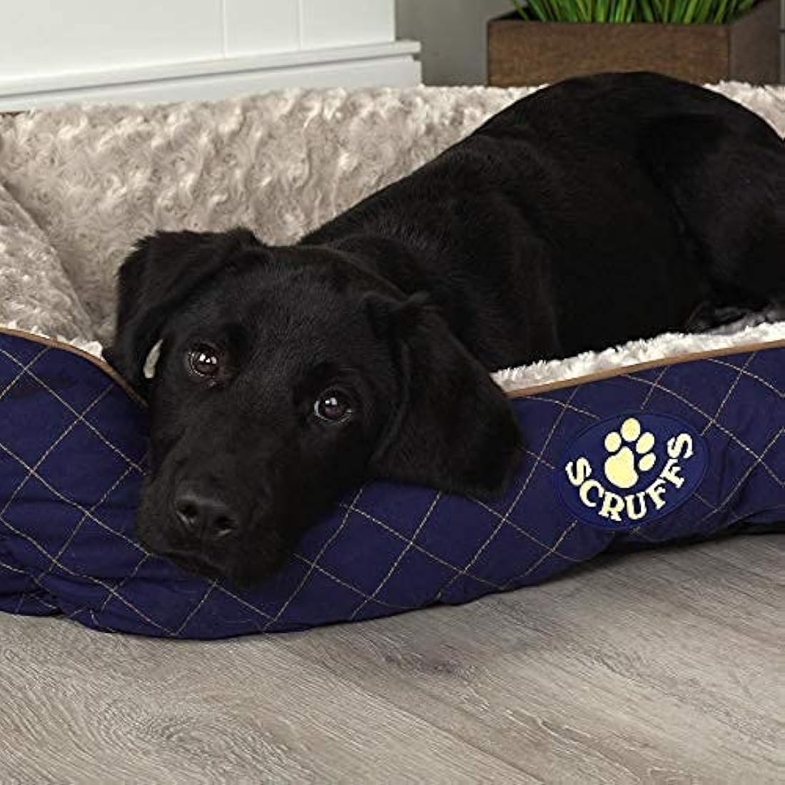 Scruffs Wilton Box Bed (L) Blue