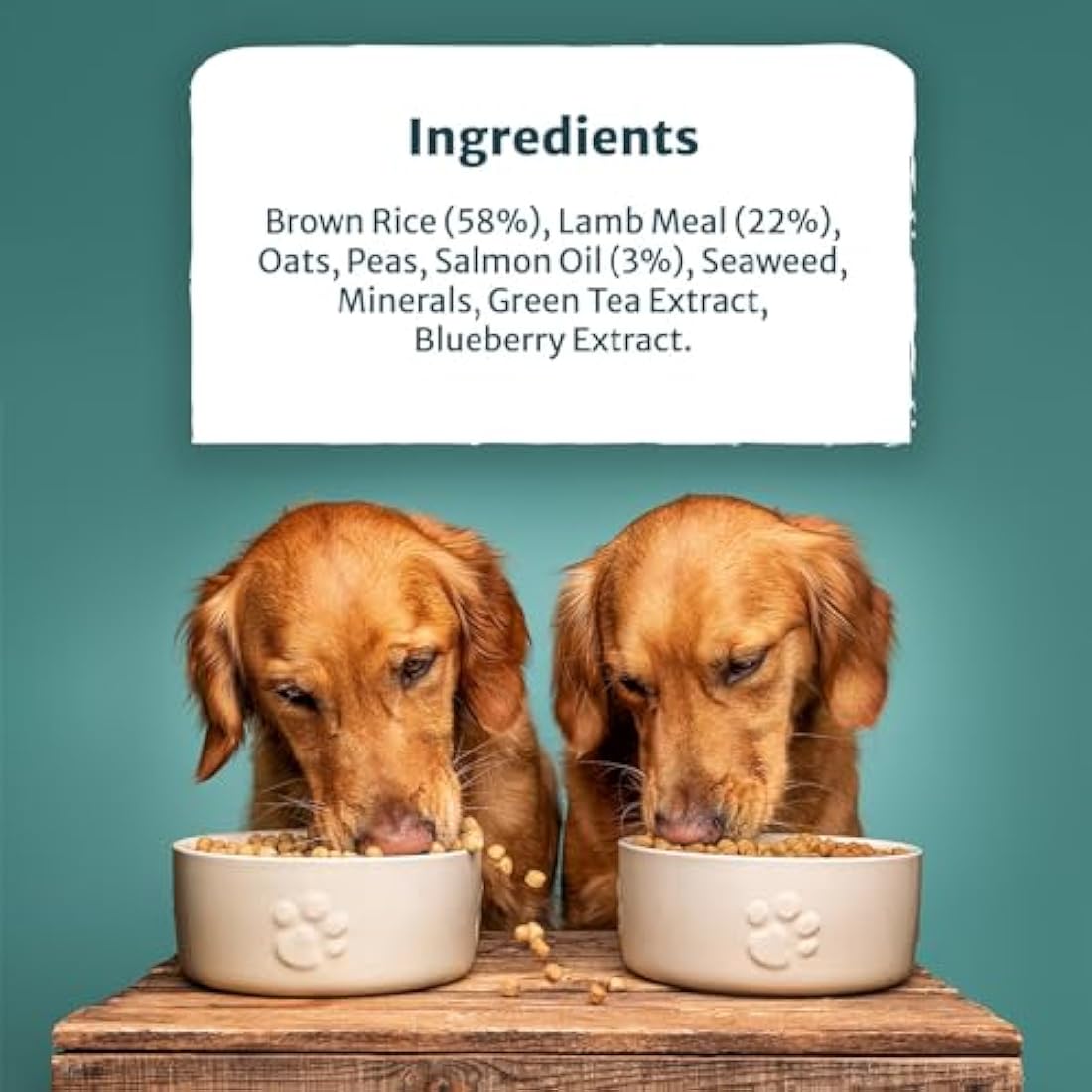 Burns Pet Nutrition Hypoallergenic Complete Dry Dog Food Adult and Senior Dog Alert Lamb and Brown Rice 12 kg