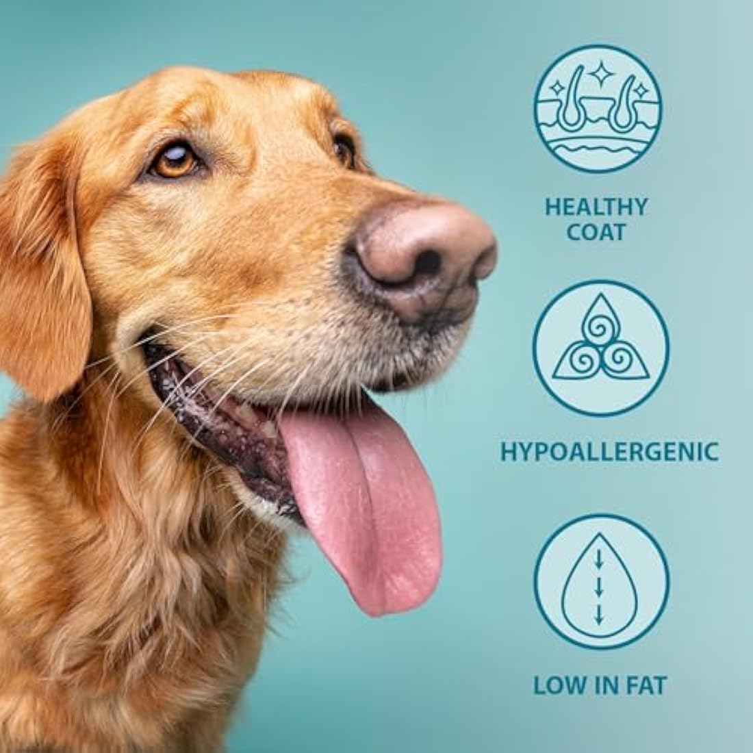 Burns Pet Nutrition Hypoallergenic Complete Dry Dog Food Adult and Senior Dog Original Lamb and Brown Rice 6 kg