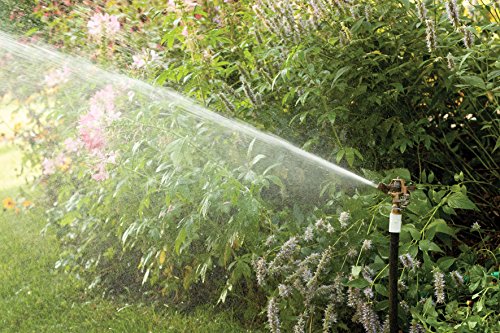 Rain Bird 35ADJTNTB Brass Impact Sprinkler, Adjustable 0? - 360? Pattern, 23' - 50' Spray Distance