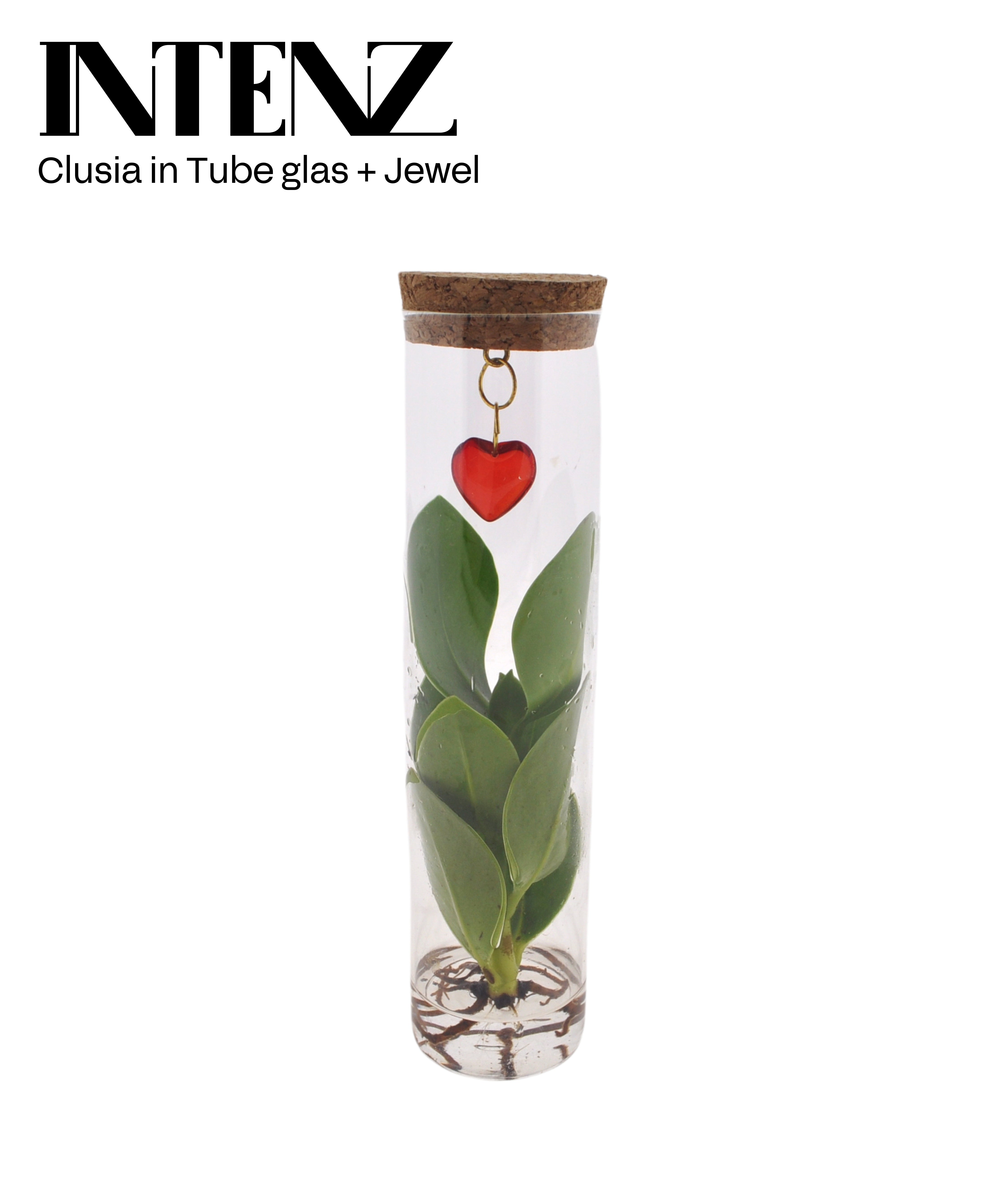 Opm Intenz Gemengd Glas Tube + Jewel