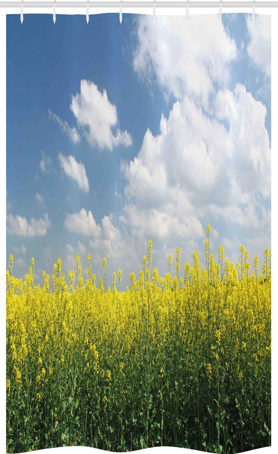ABAKUHAUS Country Stall Shower Curtain, Rapeseed Field Germany, Fabric Bathroom Decor Set with Hooks, 47" x 70", Yellow Green Blue