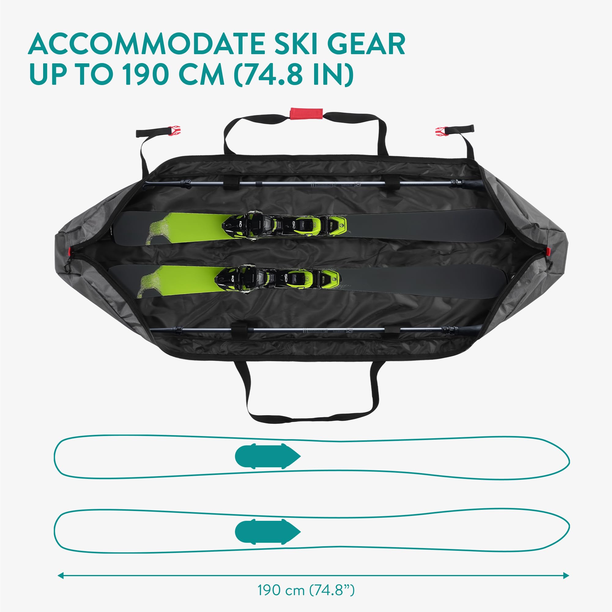 Navaris Ski Bag for Men and Women - 170cm (5.6 ft) - Ski Bag for 1 Pair of Skis and Poles with Zipper, 2 Straps with Buckles and Carrying Handle