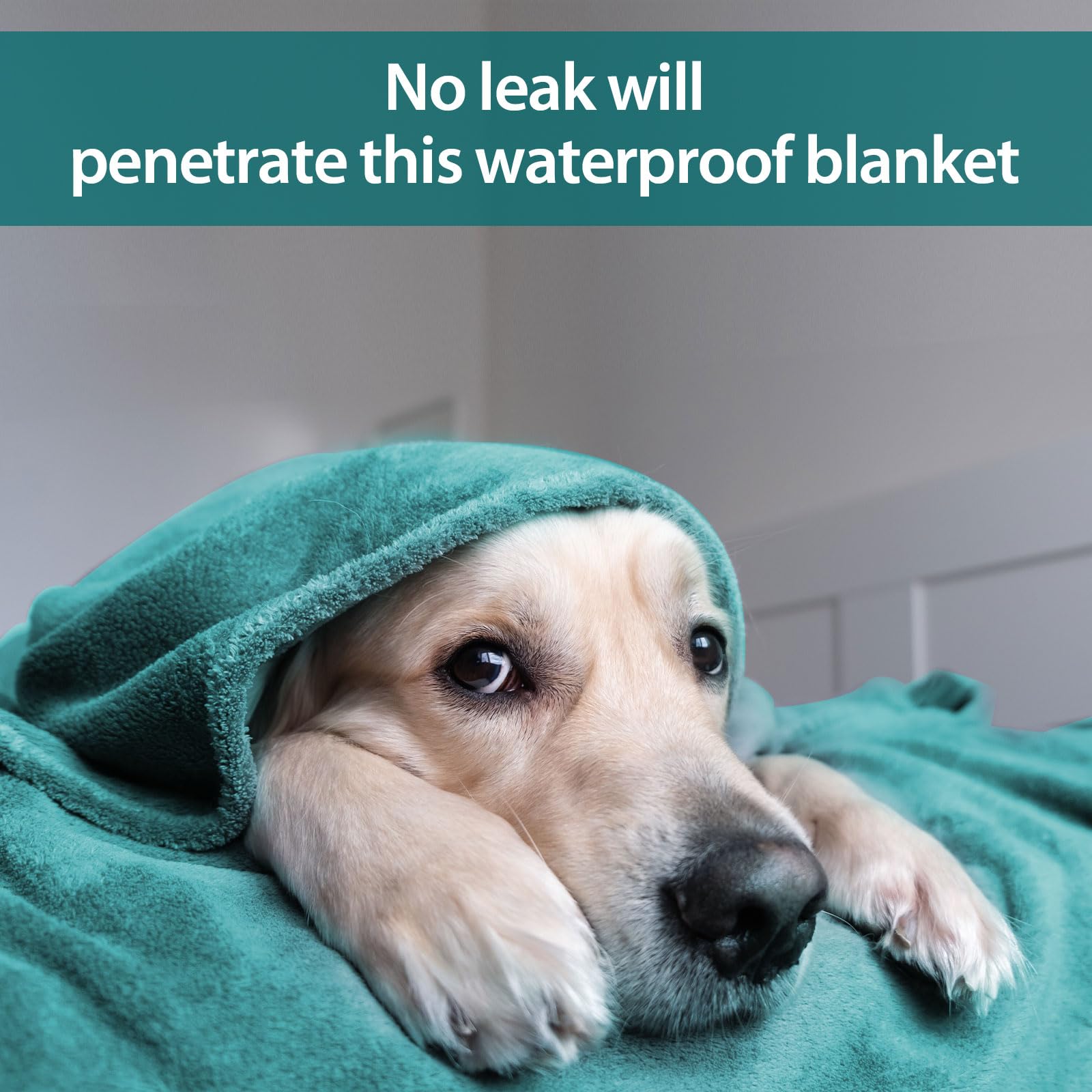 YISURE Leakproof Squirt Love Blanket for Couples, Waterproof Splash Blanket for Bed Intimacy Double, Size 80''x60'' (Green)