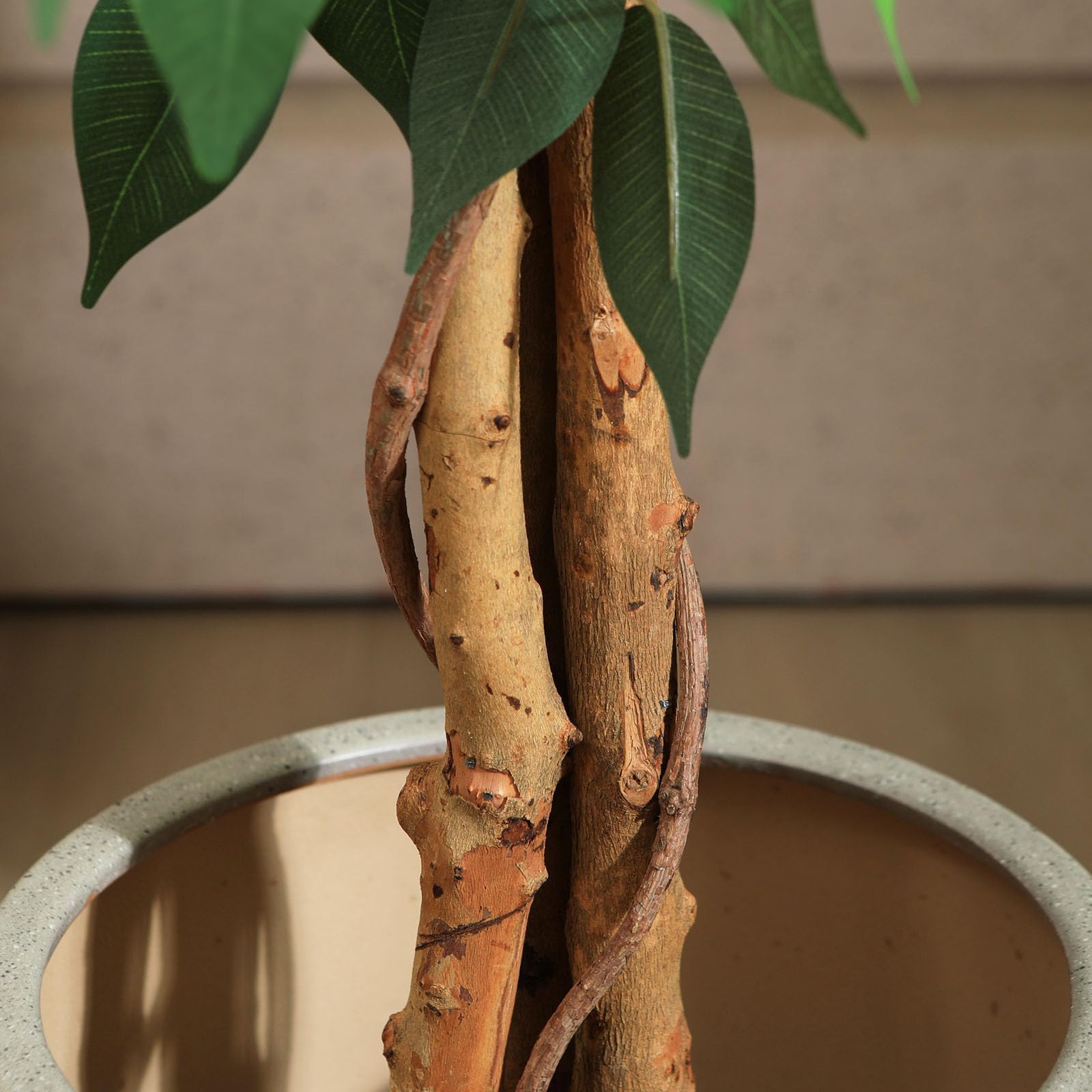SOGUYI 120cm Artificial Ficus Tree with Natural Wood Trunk, Silk Fake Ficus Tree in Plastic Nursery Pot, Faux Plant for Office Home, Indoor Outdoor