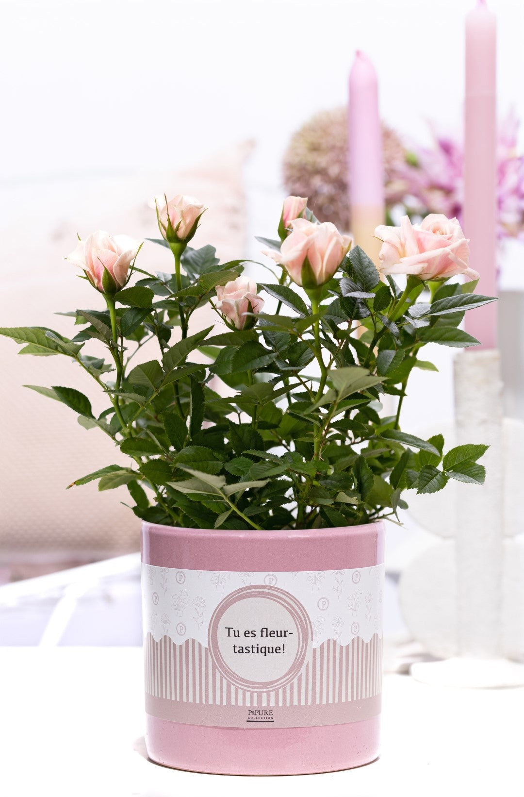 Rose Bm Licht Roze Keramiek Tu Es Fleurtastique