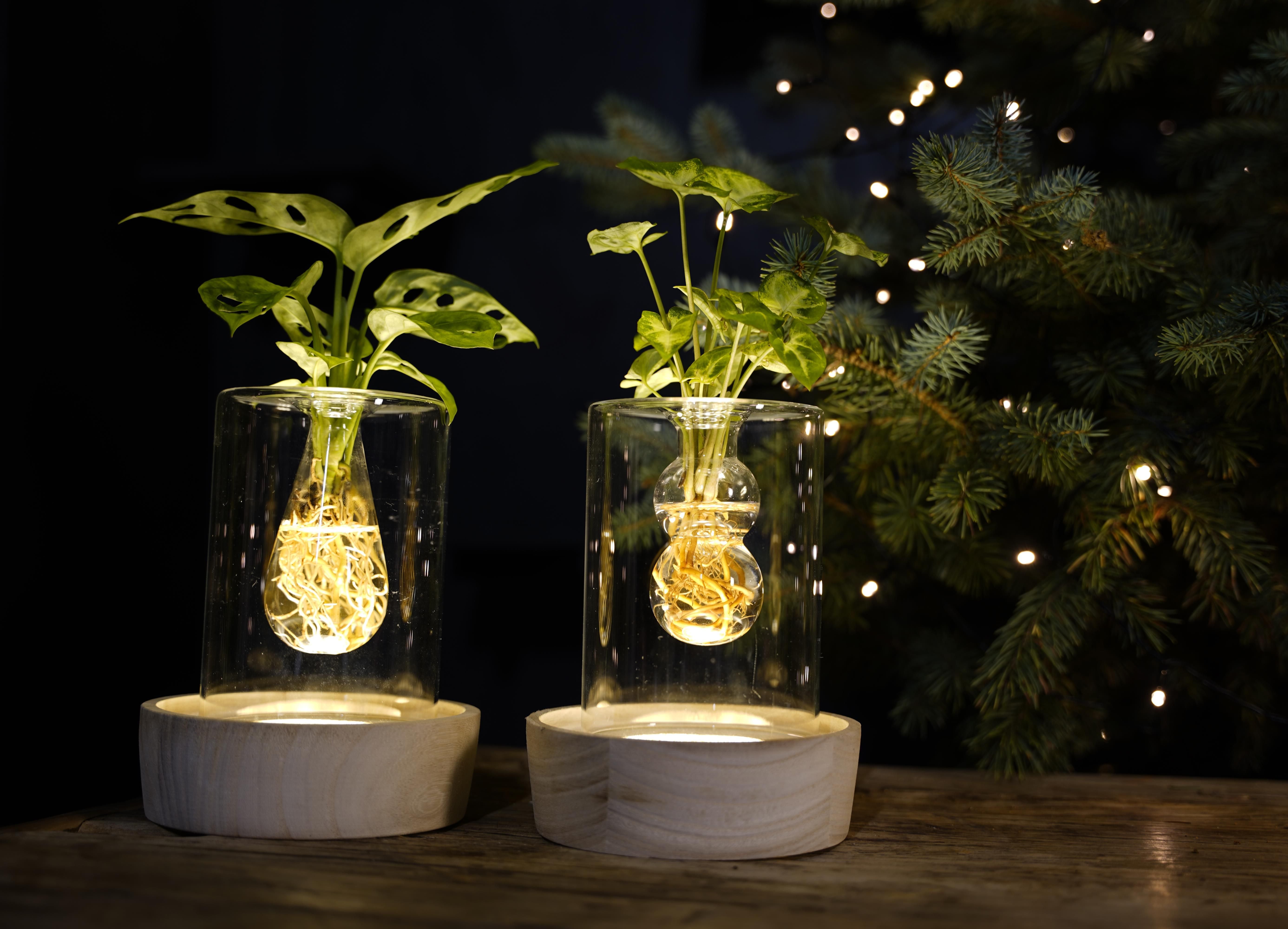 Opm Intenz X-mas Gemengd Glas Sydney + Led