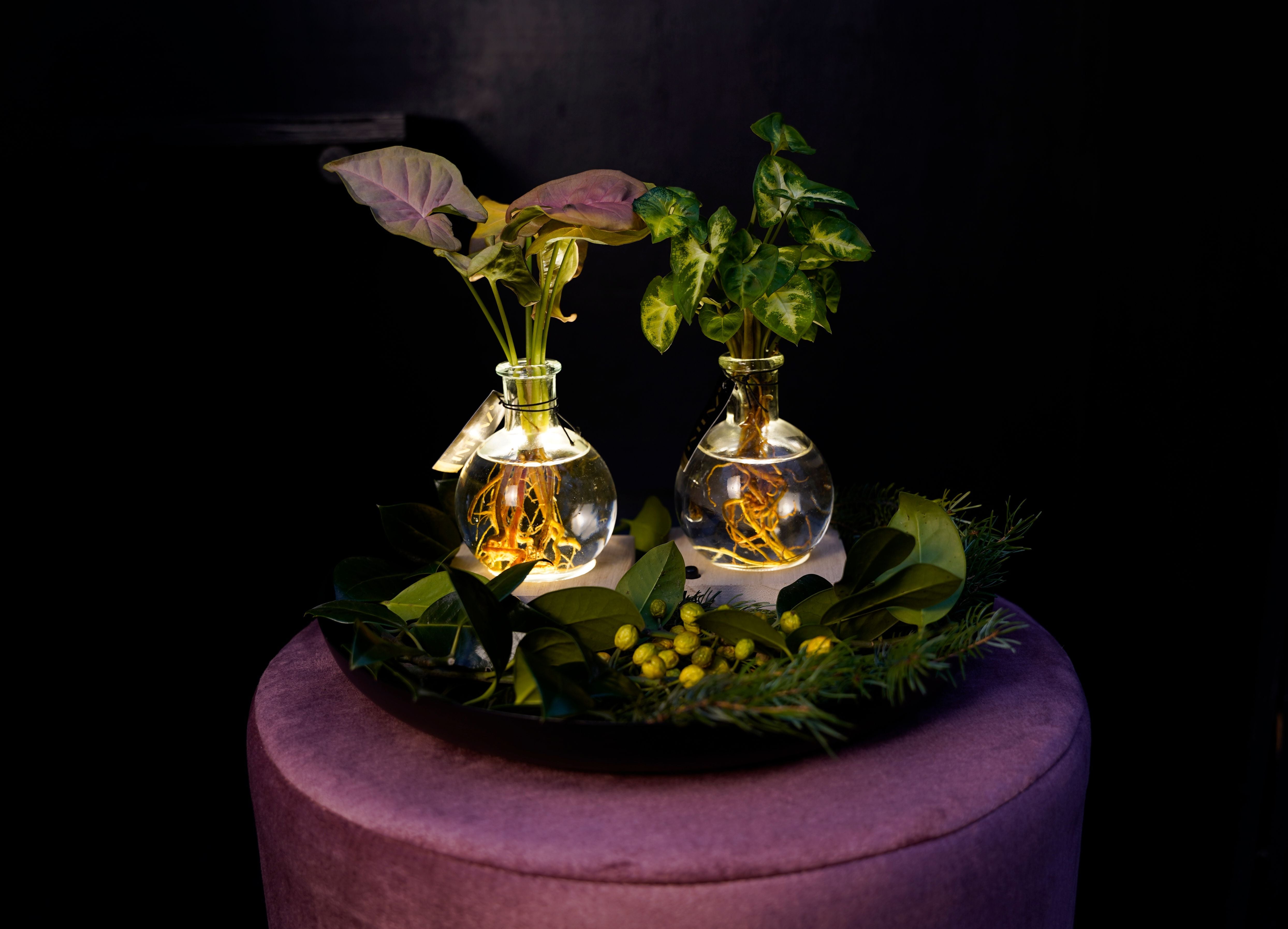 Opm Intenz X-mas Gemengd Glas Samoa + Led