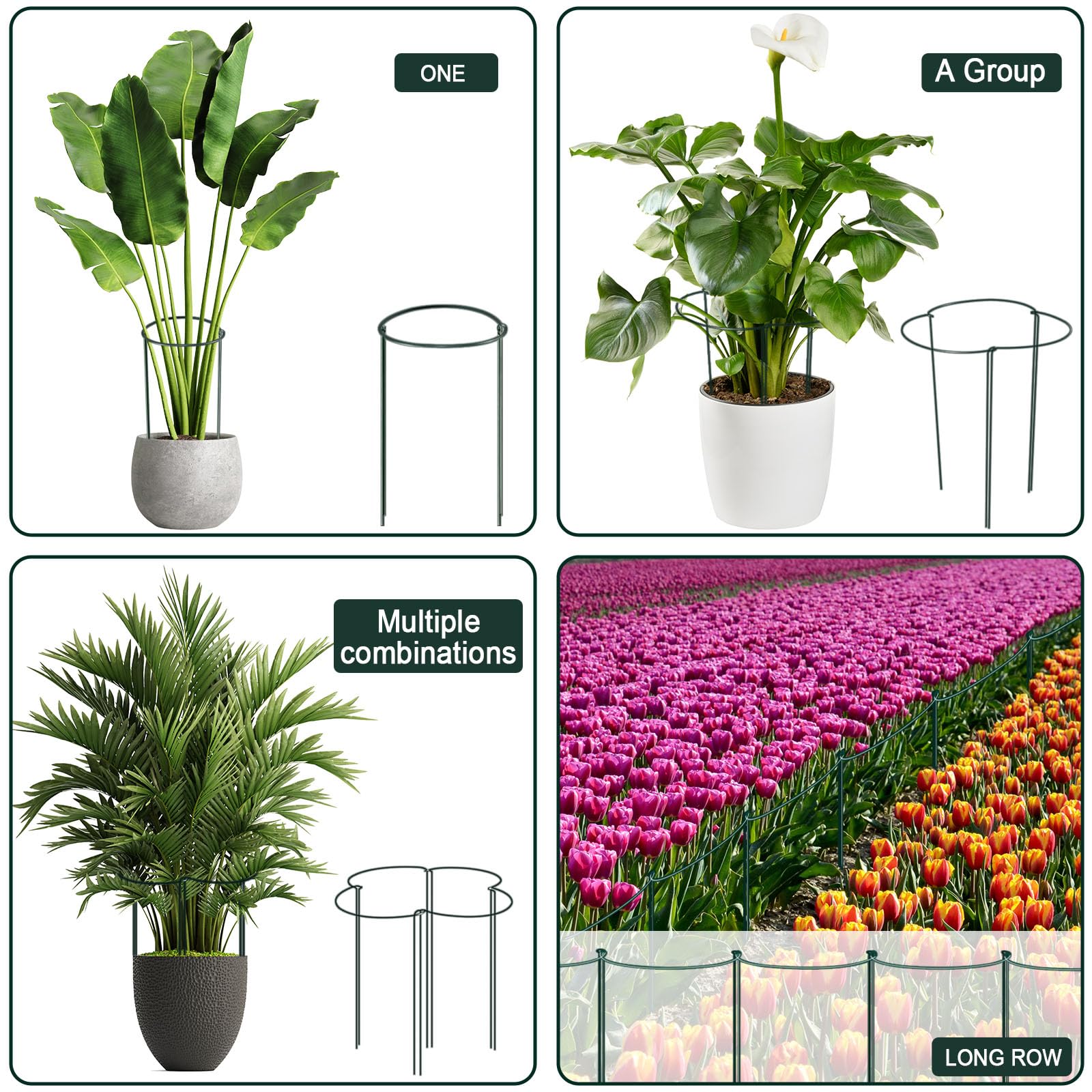 12 Pack Plant Support Stakes, Peony Cages and Supports Large 25cm Wide x 60cm High Tall Peony Ring Supports, Garden Plant Stakes for Outdoor Plants