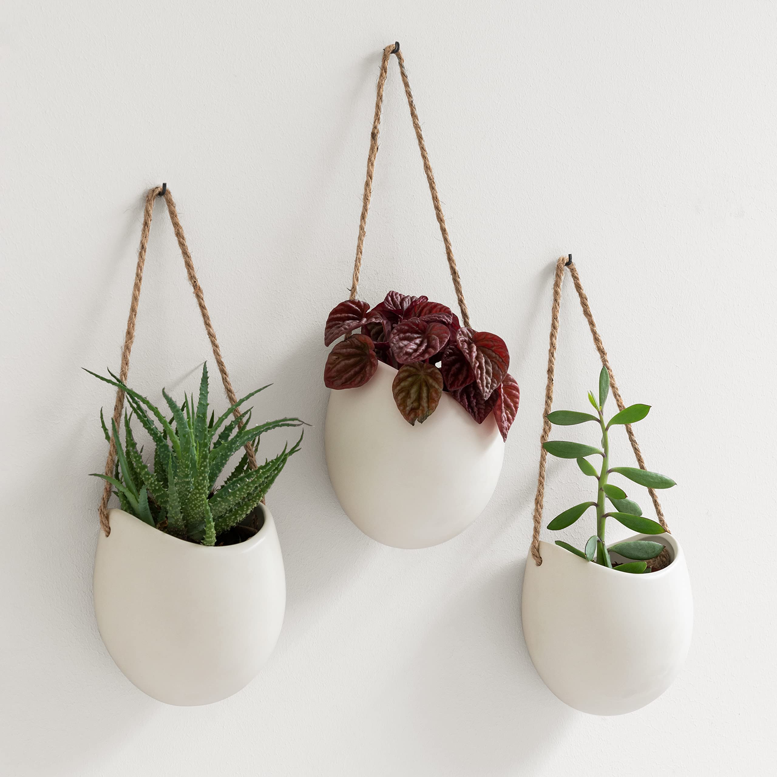 Kazai. Wall Planters -Ellie- | Hanging Ceramic Plant Pots, 3 Pieces, for Succulents and more | Wall Decoration for Indoors, Balcony and Garden | Cream