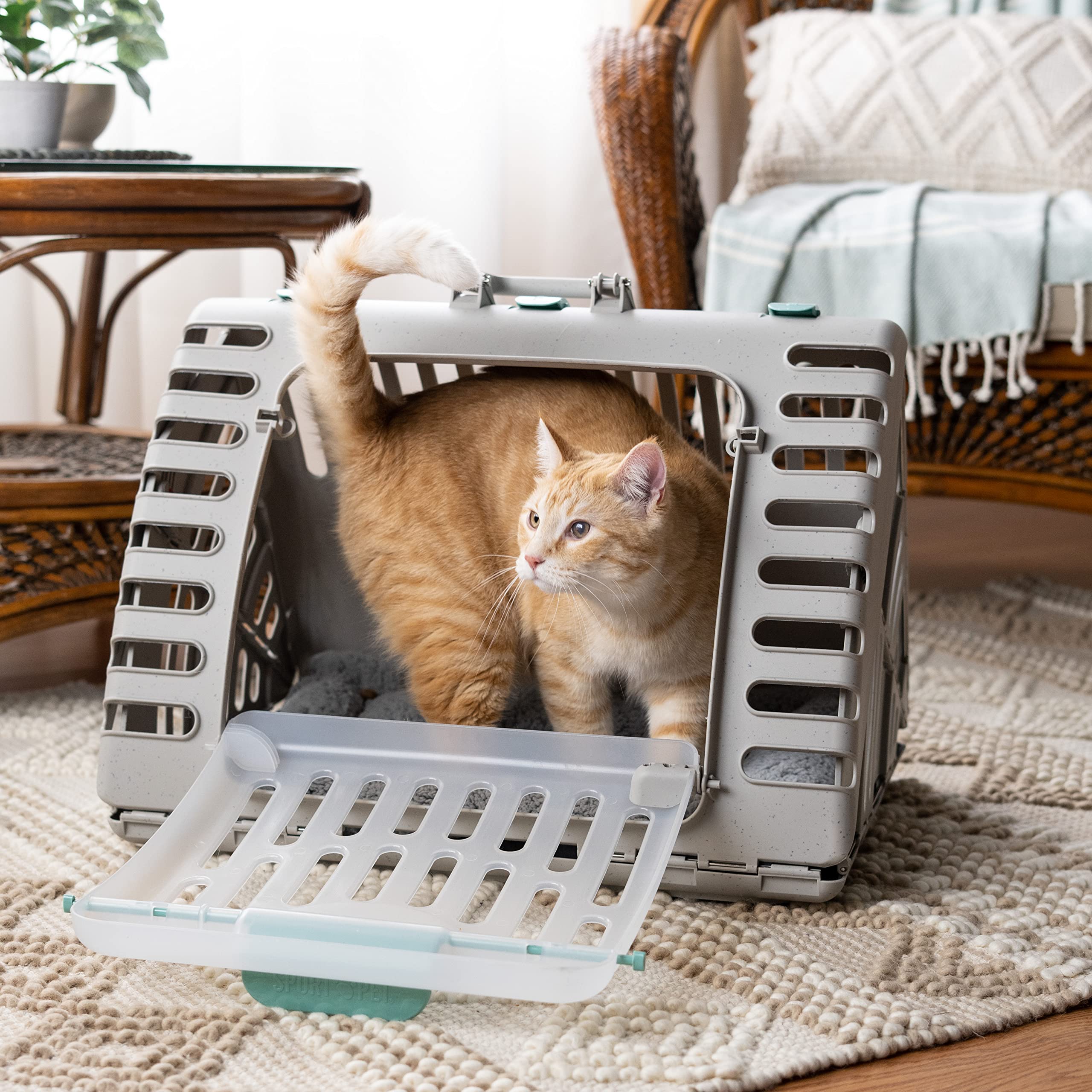 SportPet Designs Foldable Travel Cat Carrier - Front Door Plastic Collapsible Carrier Collection, Waterproof Bed