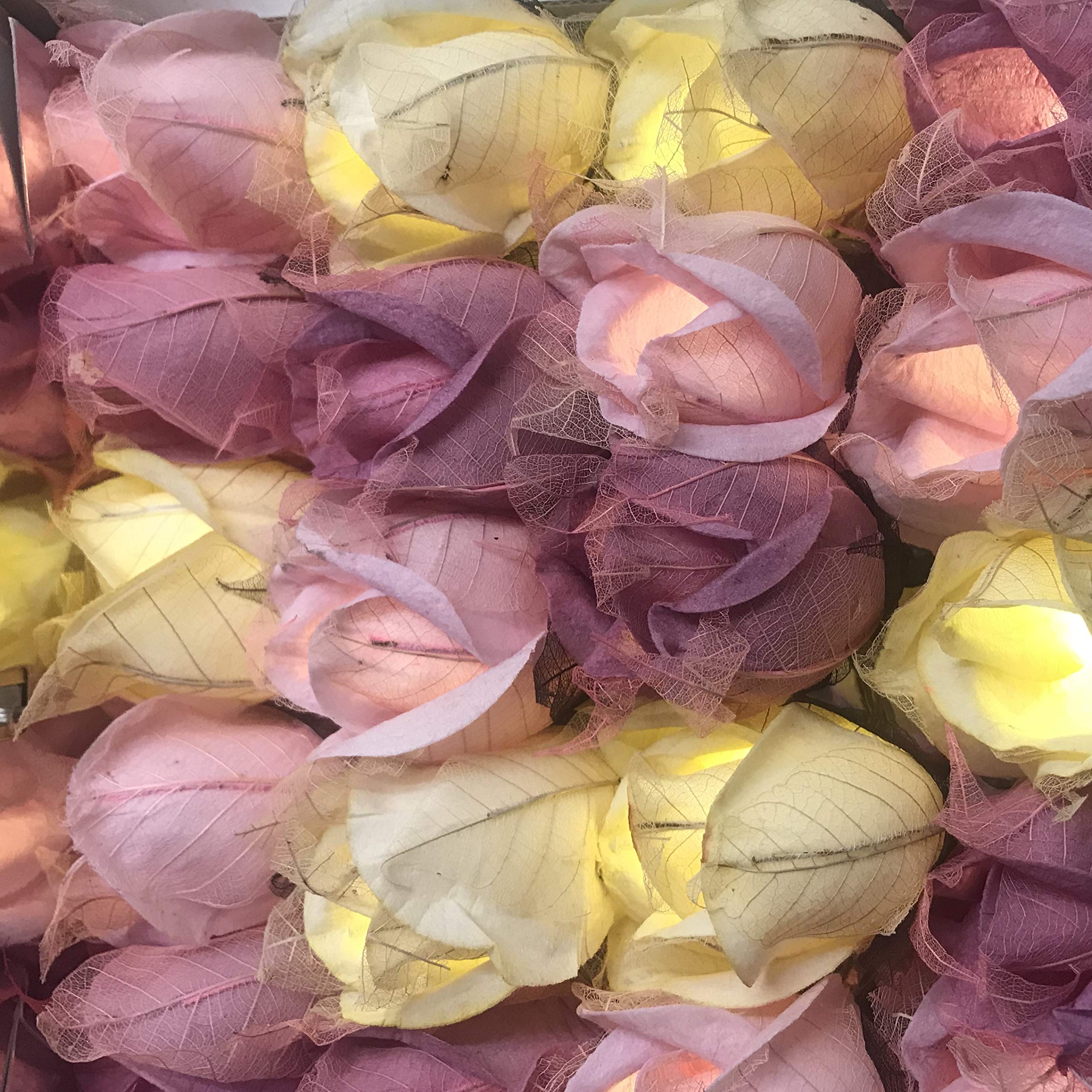 Blaze On Chelsea Rose Fairy Lights (Pink Tones) 20 Warm White LED Lights Handcrafted Roses Created from Mulberry Paper USB Powered with UK 3-Pin