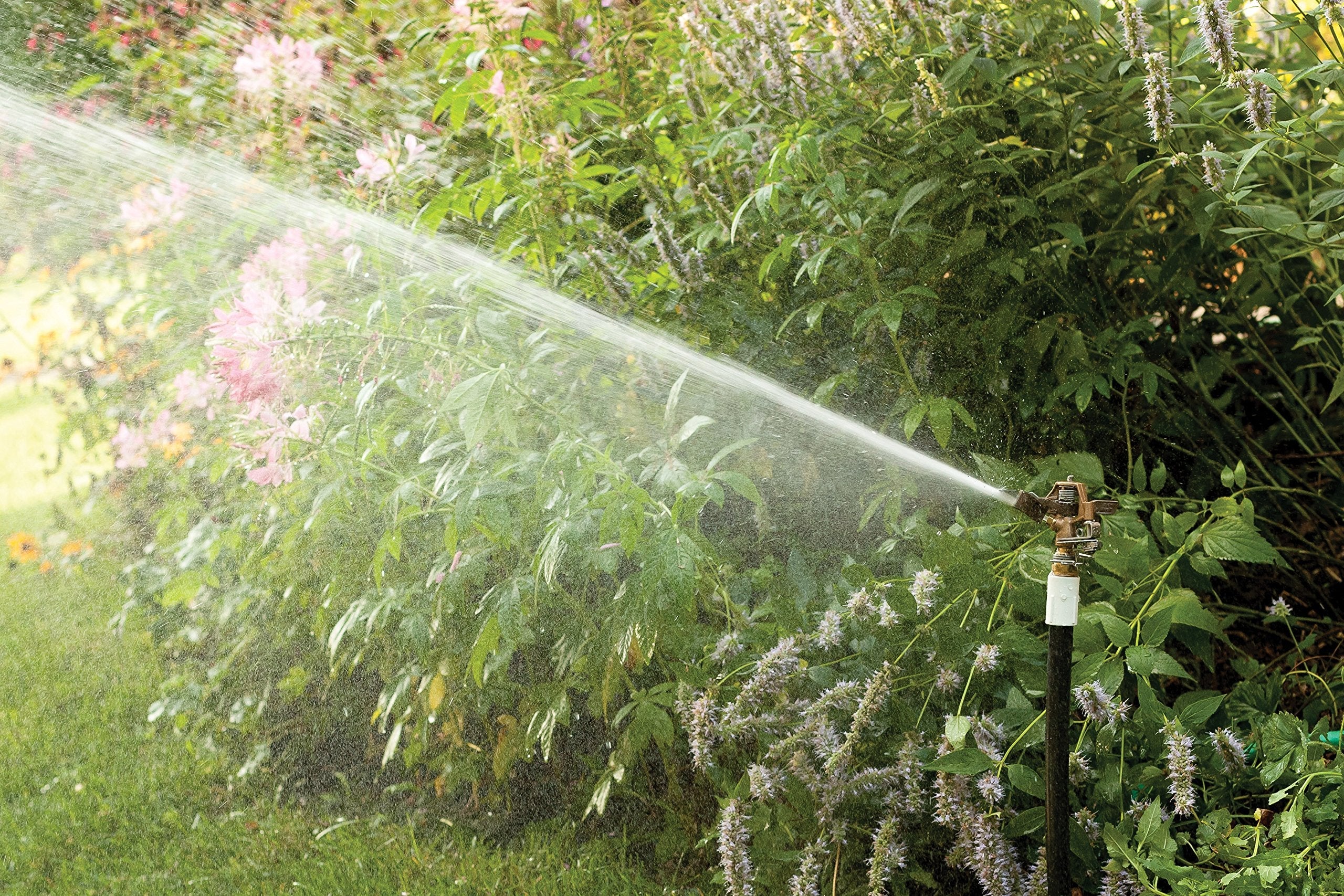 Rain Bird 35ADJTNTB Brass Impact Sprinkler, Adjustable 0? - 360? Pattern, 23' - 50' Spray Distance