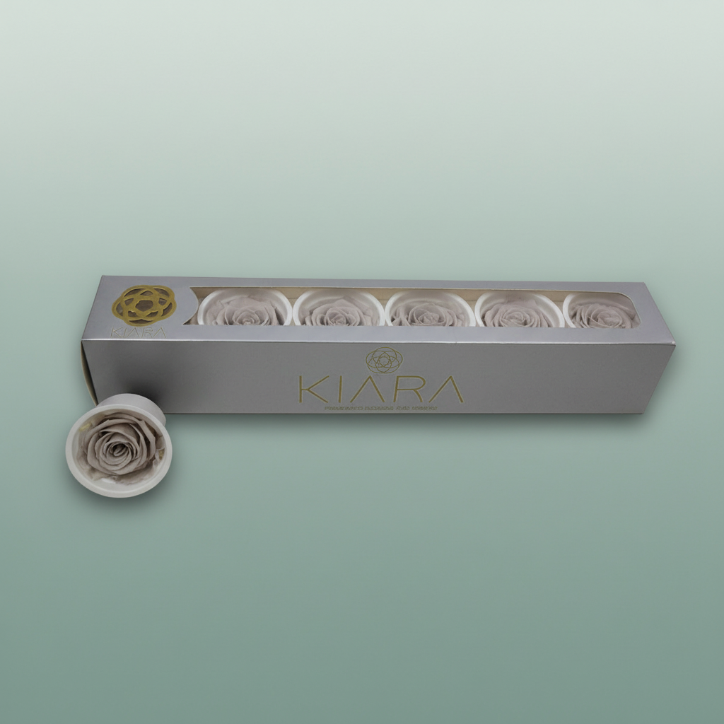 Rose Preserved Grey