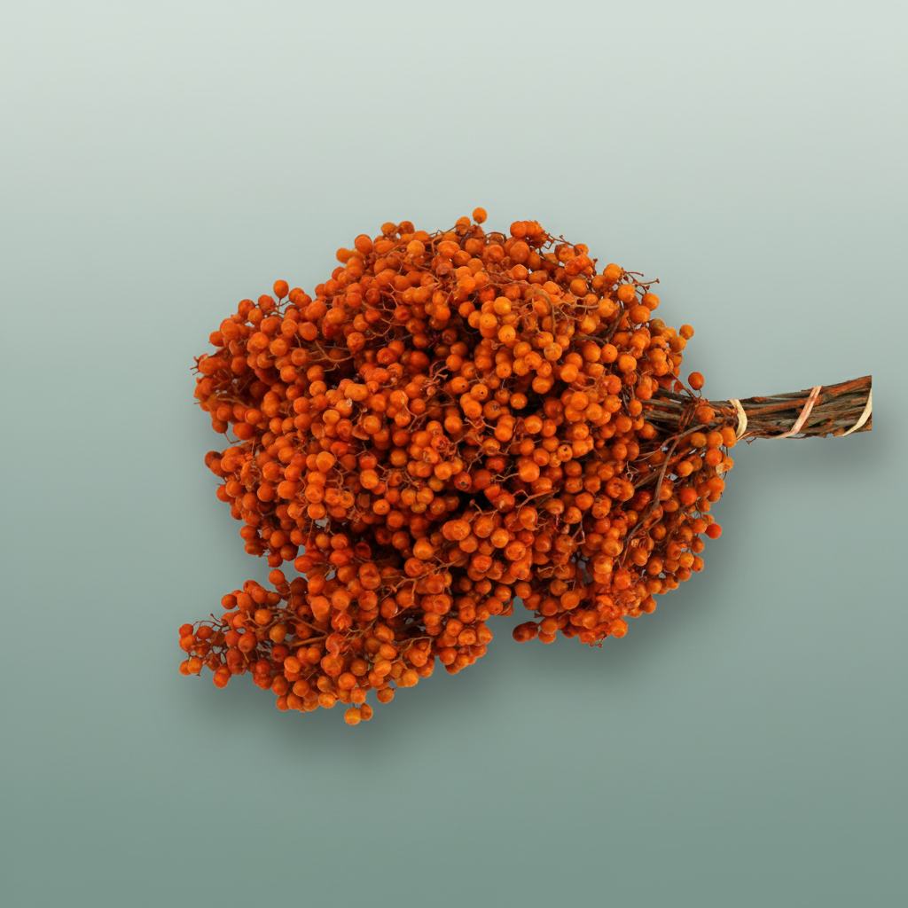Schinus M Pt Orange