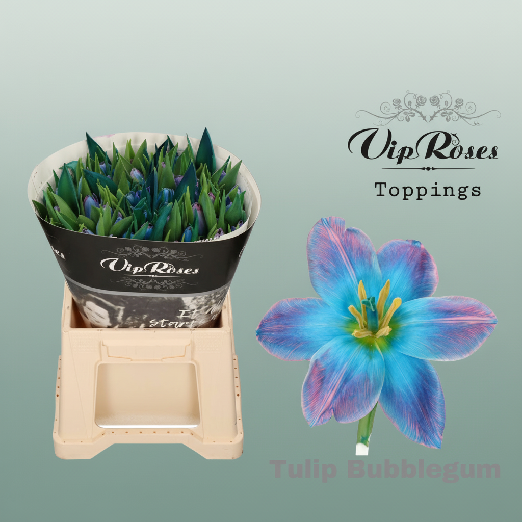 Tulip Bubblegum
