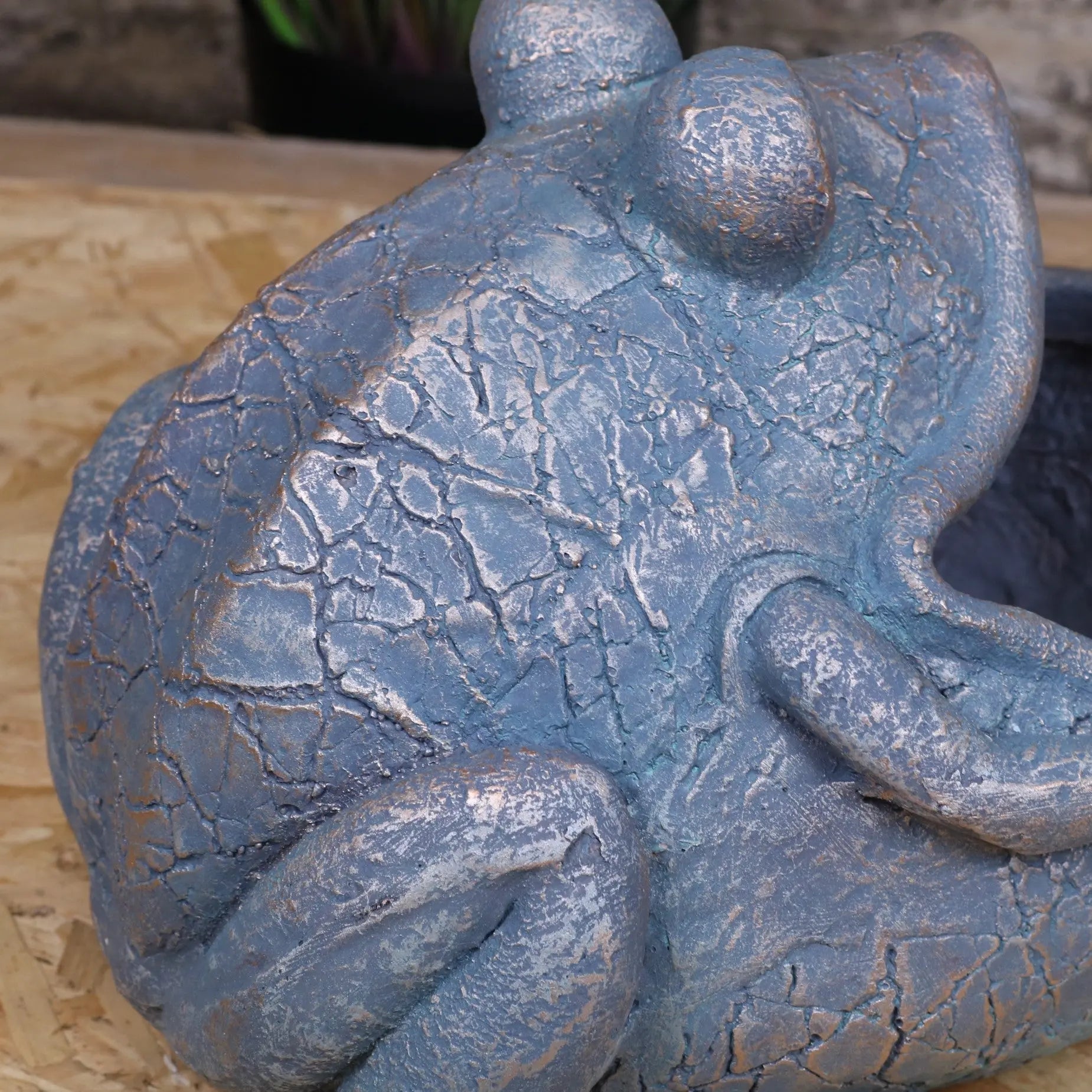 Bari Frog Planter