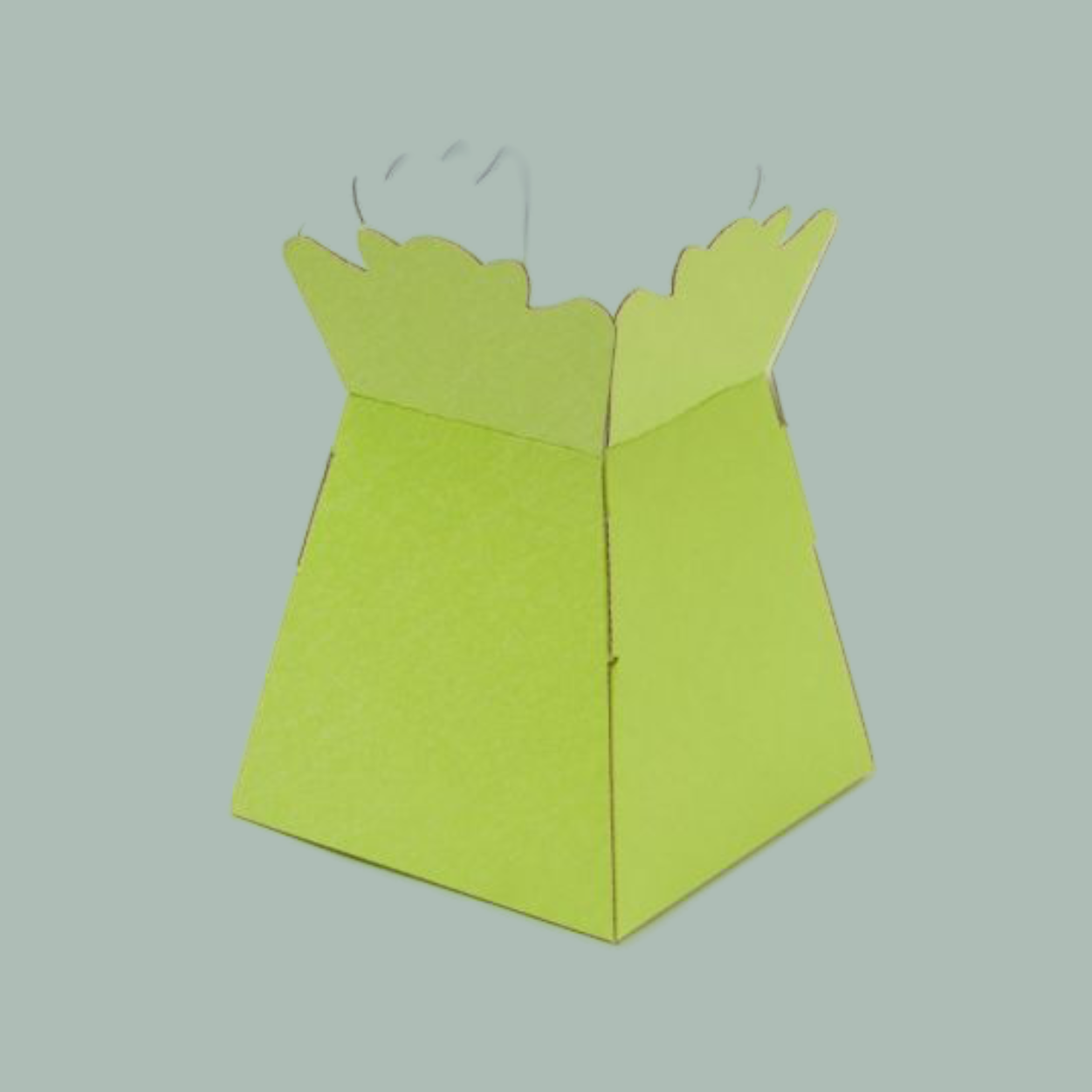 Living Vase - Matt