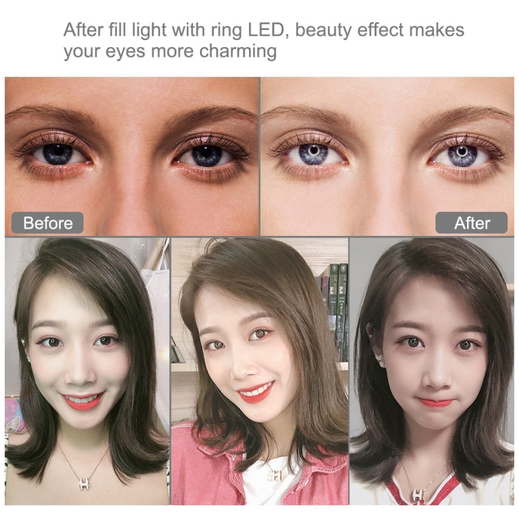 PULUZ 10.2 inch 26cm Light + 1.1m Tripod Mount + Dual Phone Brackets USB 3 Modes Dimmable Dual Color Temperature LED Curved Diffuse Light Ring Vlogging Selfie Photography Video Lights with Phone Clamp & Selfie Remote Control(Black)