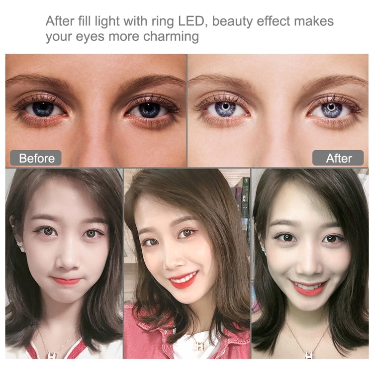 PULUZ 11.8 inch 30cm RGBW Light + 1.65m Mount Curved Surface RGBW Dimmable LED Ring Selfie Vlogging Light Live Broadcast Kits with Cold Shoe Tripod Adapter & Phone Clamp & Remote Control(Black)