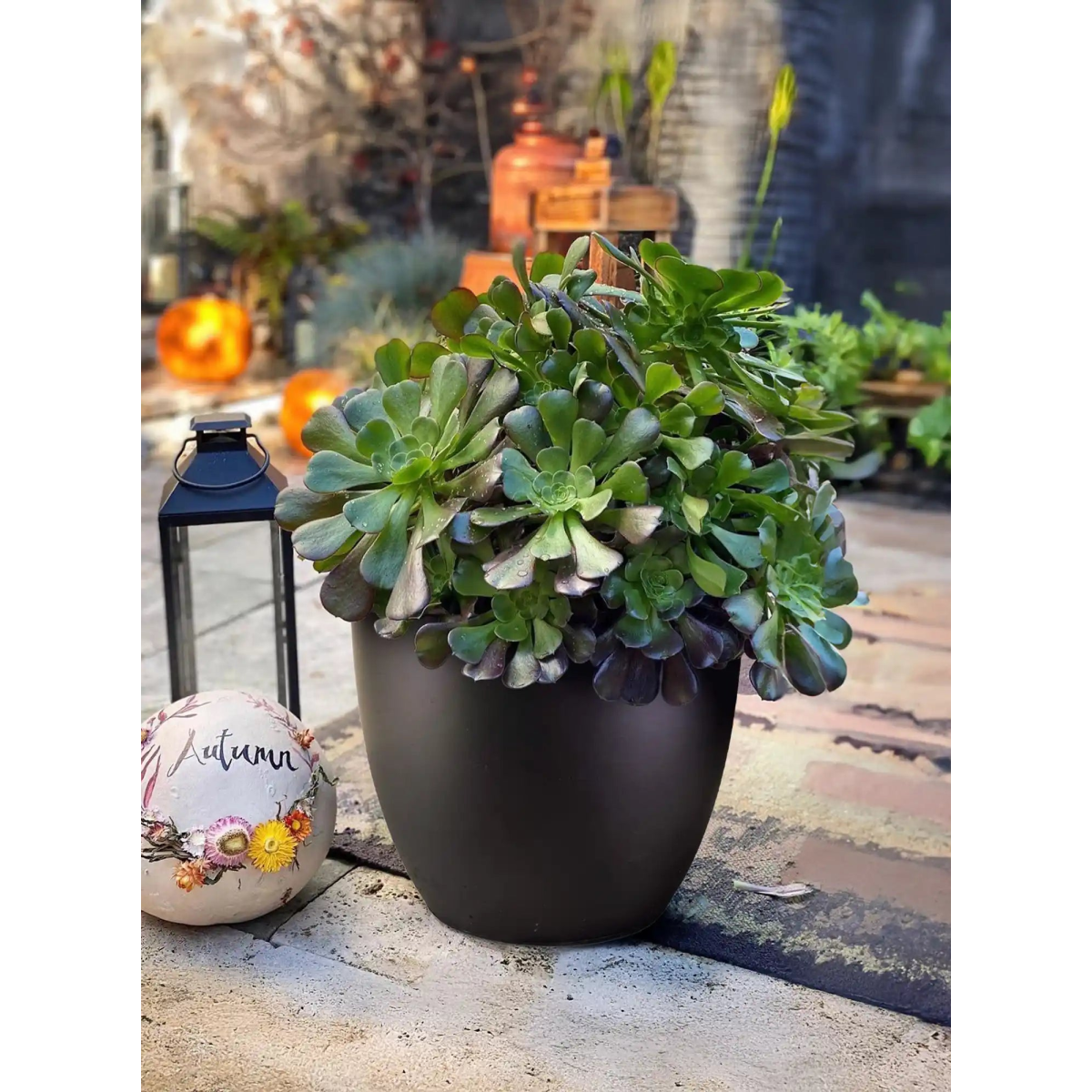 IDEALIST Lite 30cm Garden Planter | Washed Light Concrete Egg Round Planter | Contemporary Outdoor Plant Pot D30 H30 cm, 21L