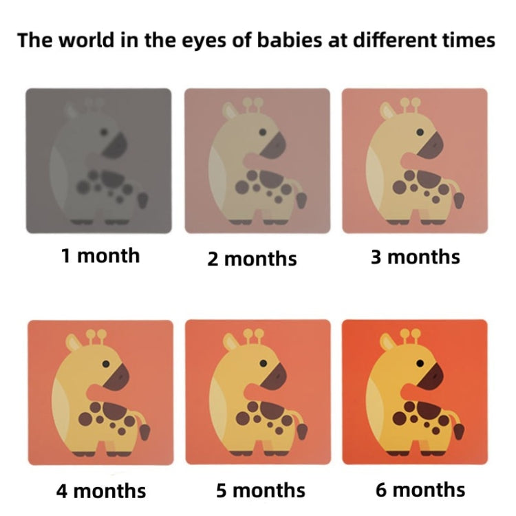 20pcs /Book Baby Early Learning Card Children Eye Care Visual Stimulation Card, Style: 4-order Real Object