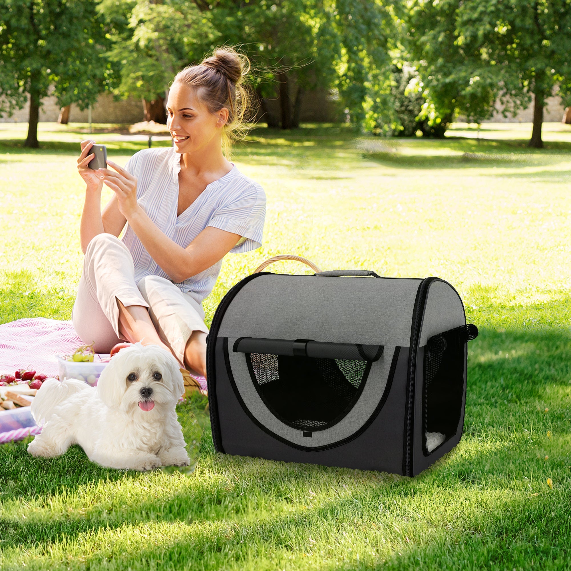 PawHut Folding Fabric Soft Pet Crate Dog Cat Travel Carrier Cage