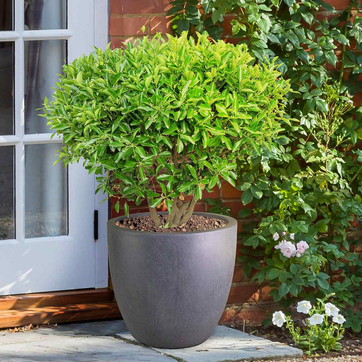 IDEALIST Lite 30cm Garden Planter | Washed Light Concrete Egg Round Planter | Contemporary Outdoor Plant Pot D30 H30 cm, 21L
