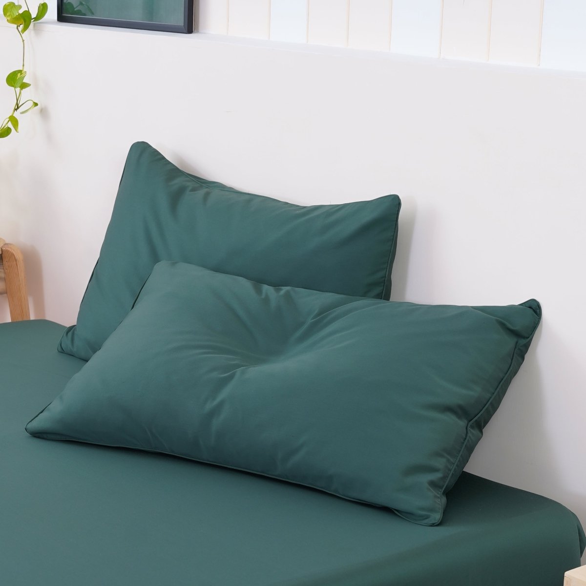Ackly Bamboo - Royal Green Pillowcases Pair - Zestio