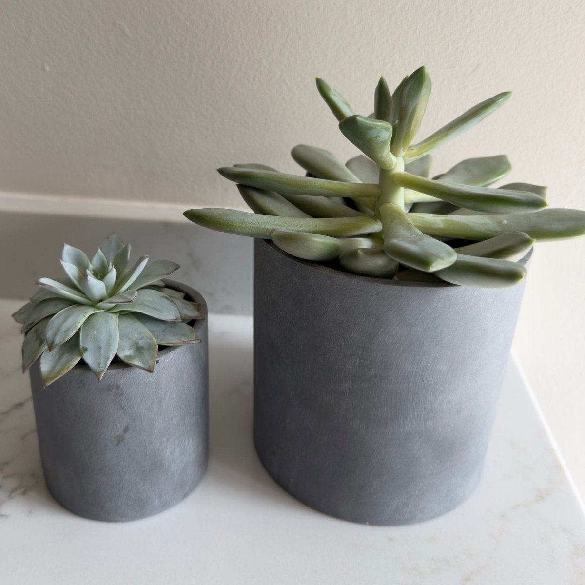 Aurello | Brushed Grey Stone Resin Indoor Plant Pots (Set of 2) - Zestio