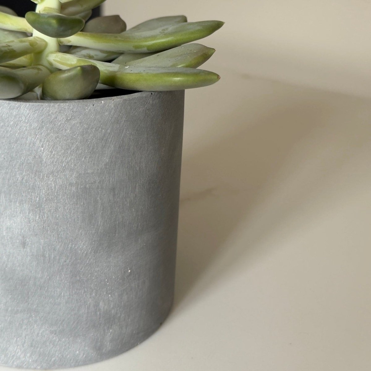 Aurello | Brushed Grey Stone Resin Indoor Plant Pots (Set of 2) - Zestio