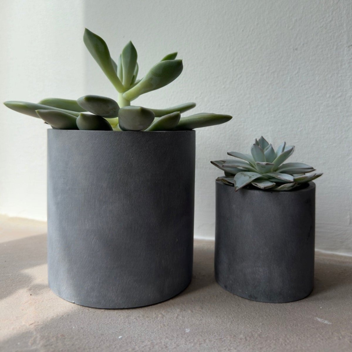 Aurello | Brushed Grey Stone Resin Indoor Plant Pots (Set of 2) - Zestio
