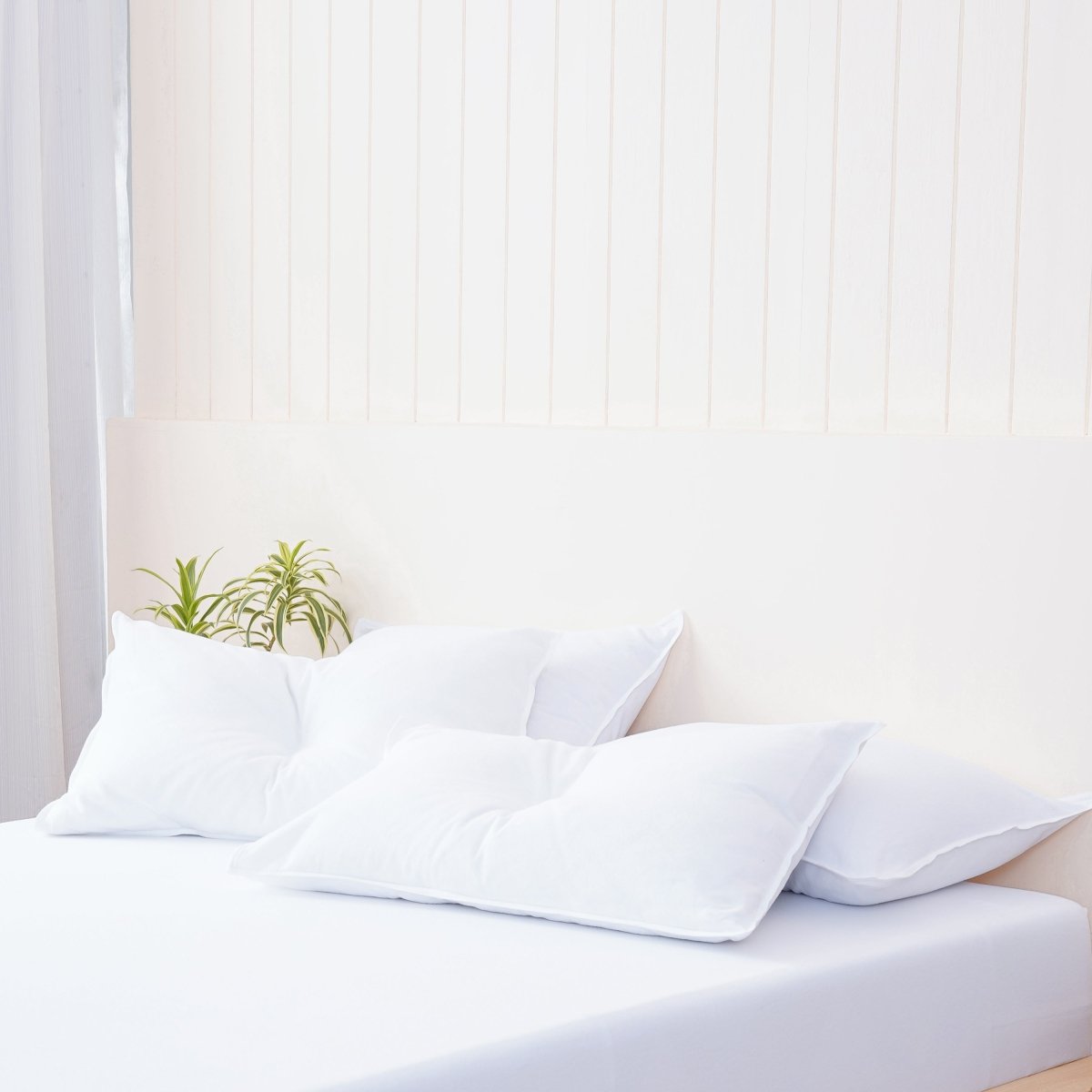 Bella Flannelette (Brushed Cotton) - White Pillowcases Pair - Zestio