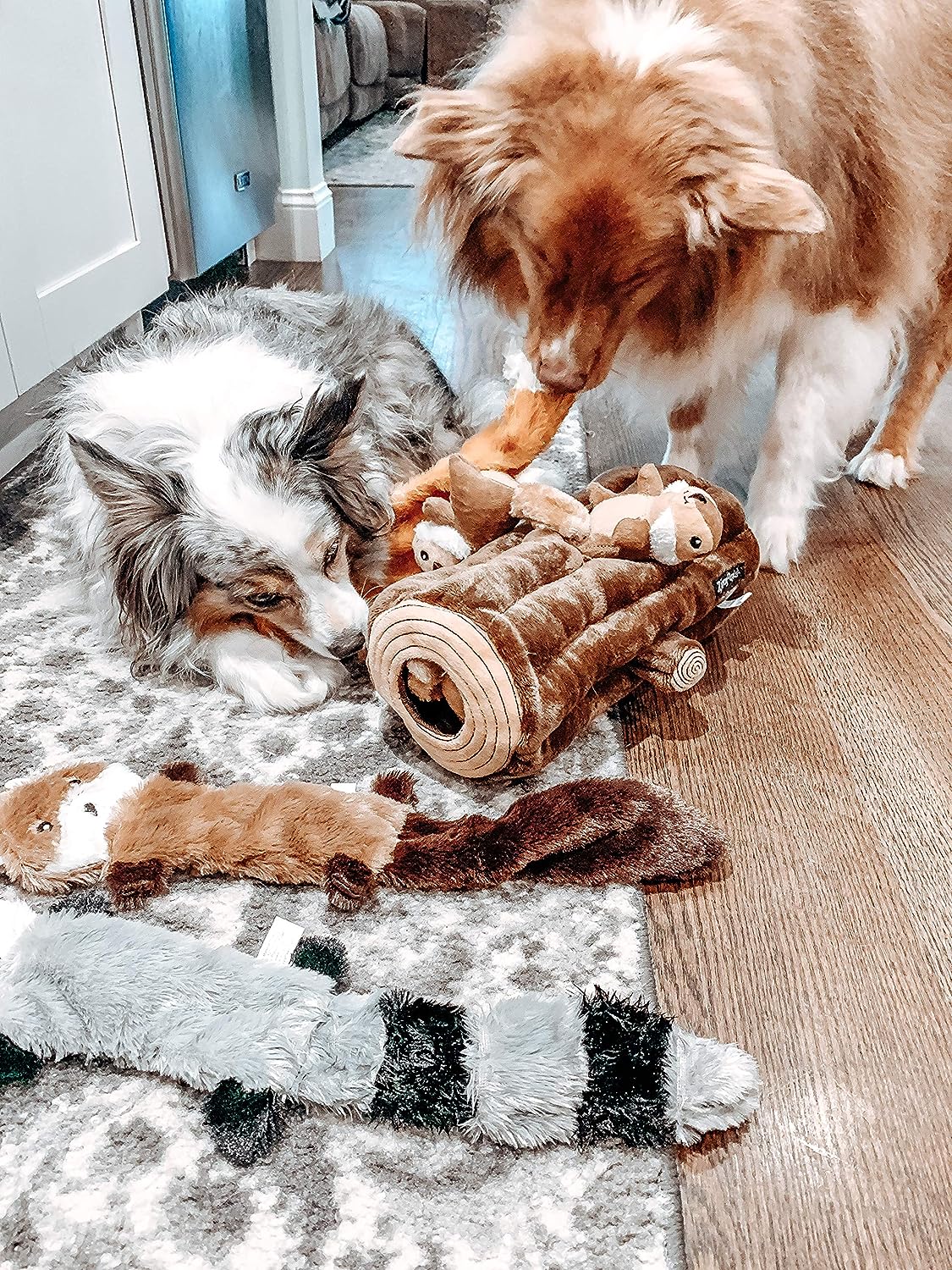 Peltz - Fox Raccoon Squirrel No Stuffing Squeaky Dog Toys, Unstuffed Chew Toy For Small & Medium Breeds Soft Plush Toys Flat No Stuffing Puppy