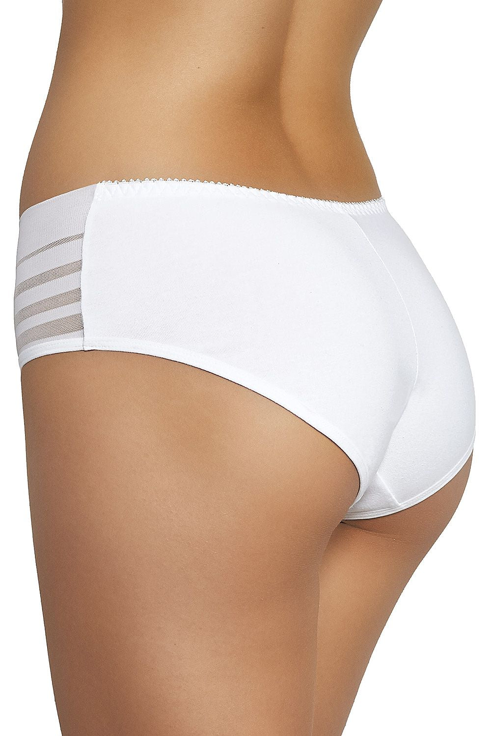 Gabidar Elegant Mesh Accented Low-Cut Panties With Cotton Liner - Women's Luxury Figs