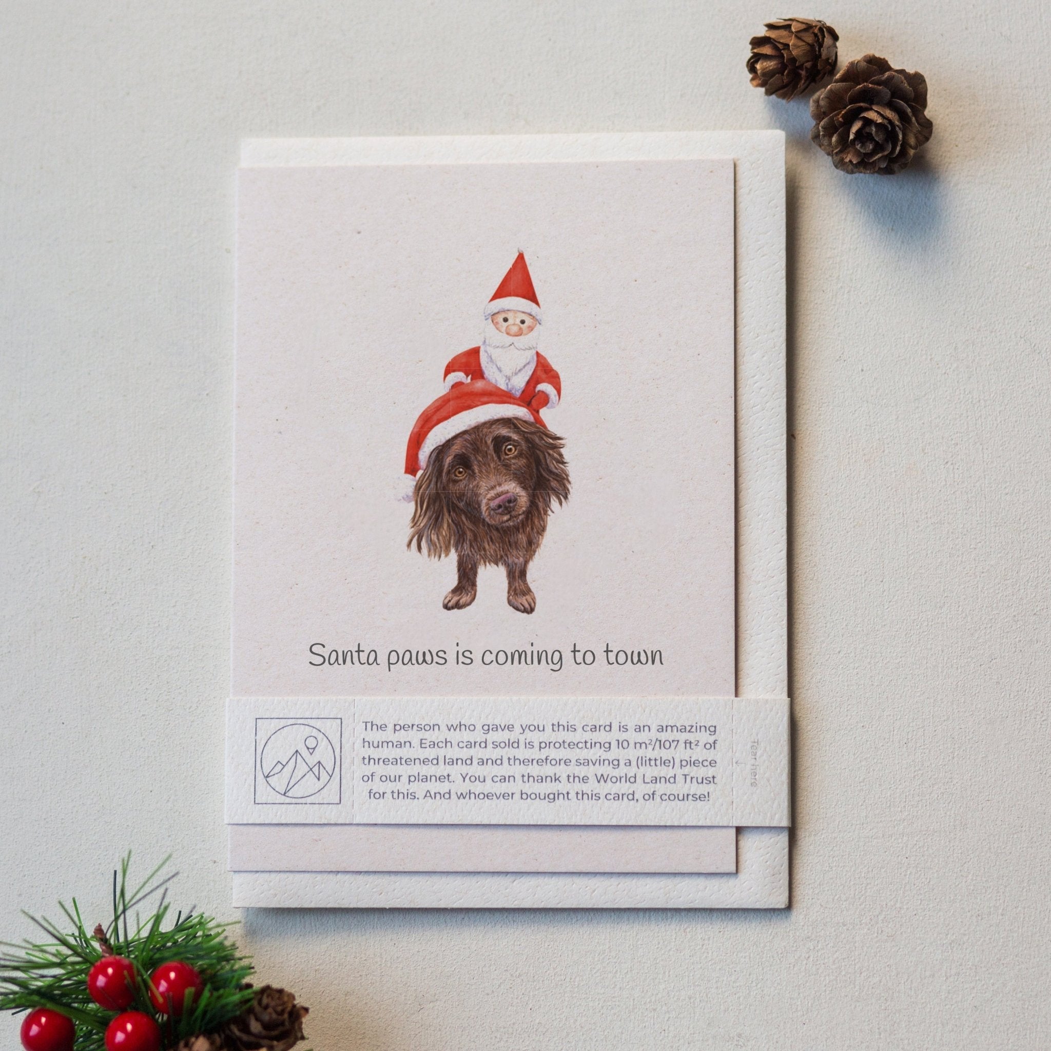 Animal Lover Charity Greeting Card