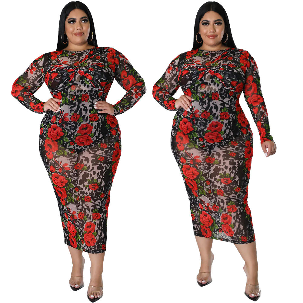 Round-neck Stretchy See-through Sheath Dress With A Printed Design
