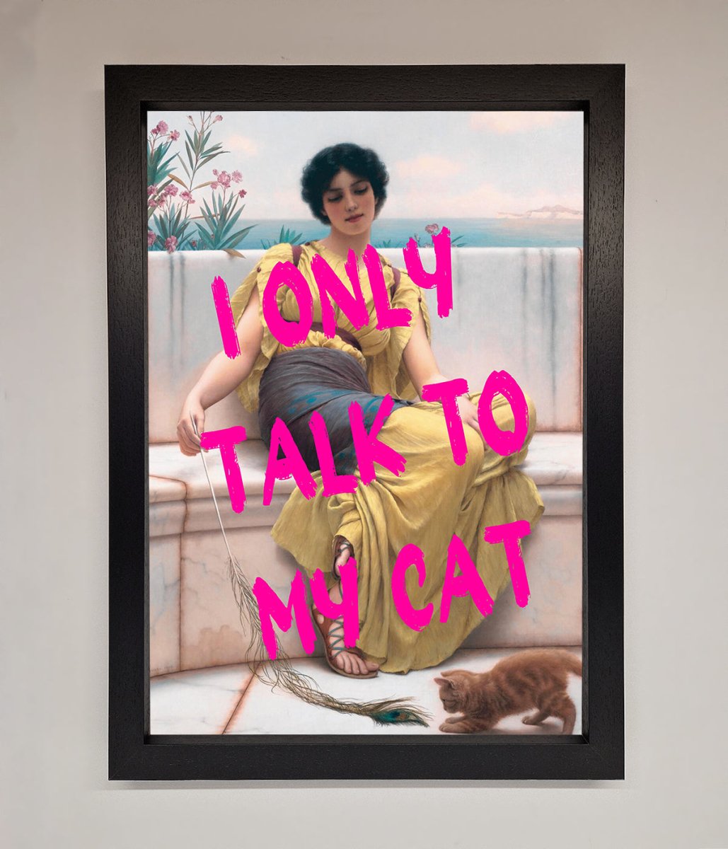 I Only Talk To My Cat Framed Wall Art - Zestio