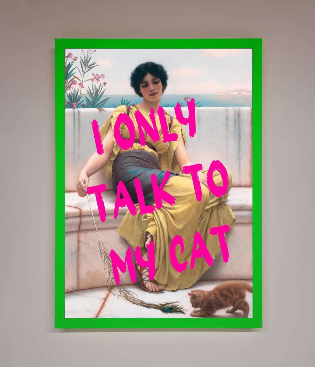 I Only Talk To My Cat Framed Wall Art - Zestio