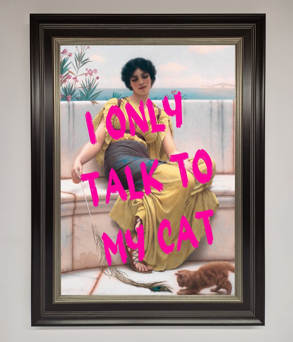 I Only Talk To My Cat Framed Wall Art - Zestio