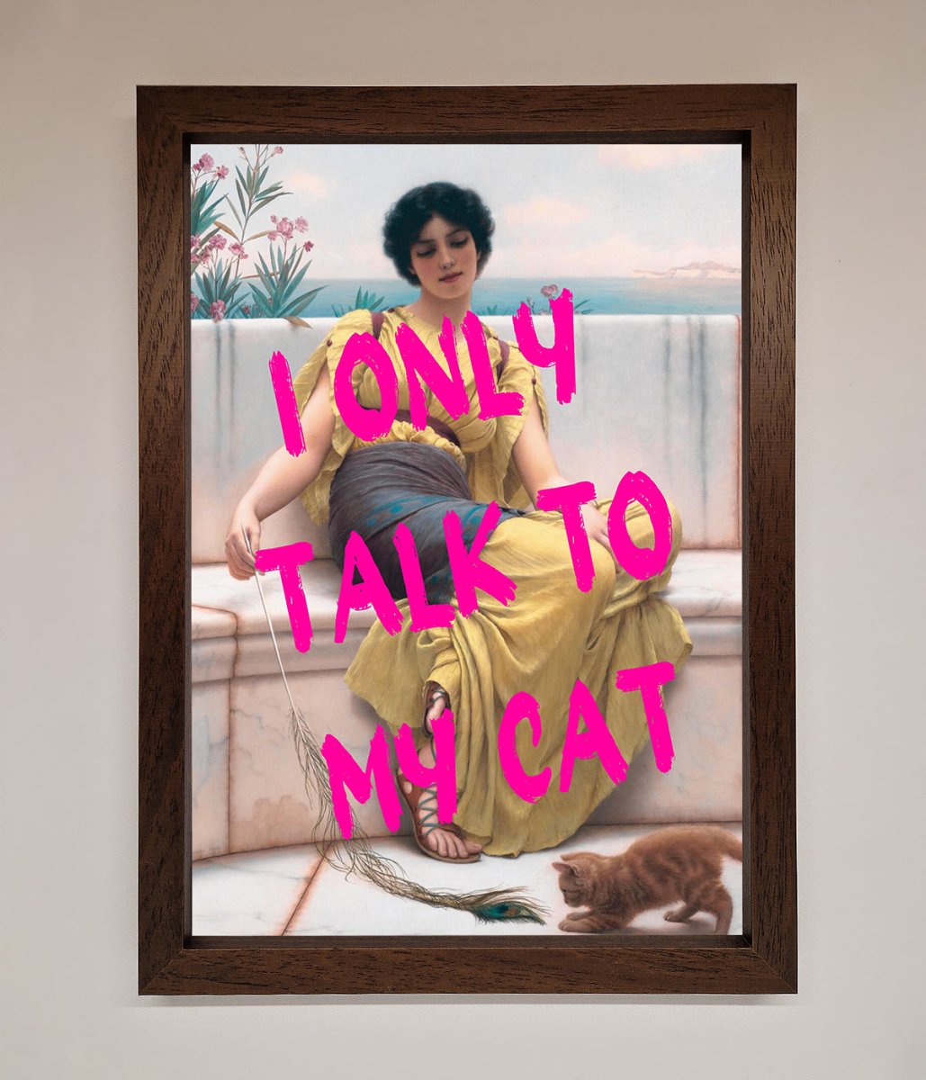 I Only Talk To My Cat Framed Wall Art - Zestio