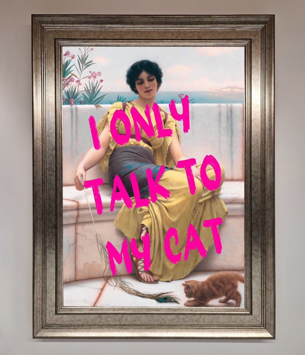 I Only Talk To My Cat Framed Wall Art - Zestio