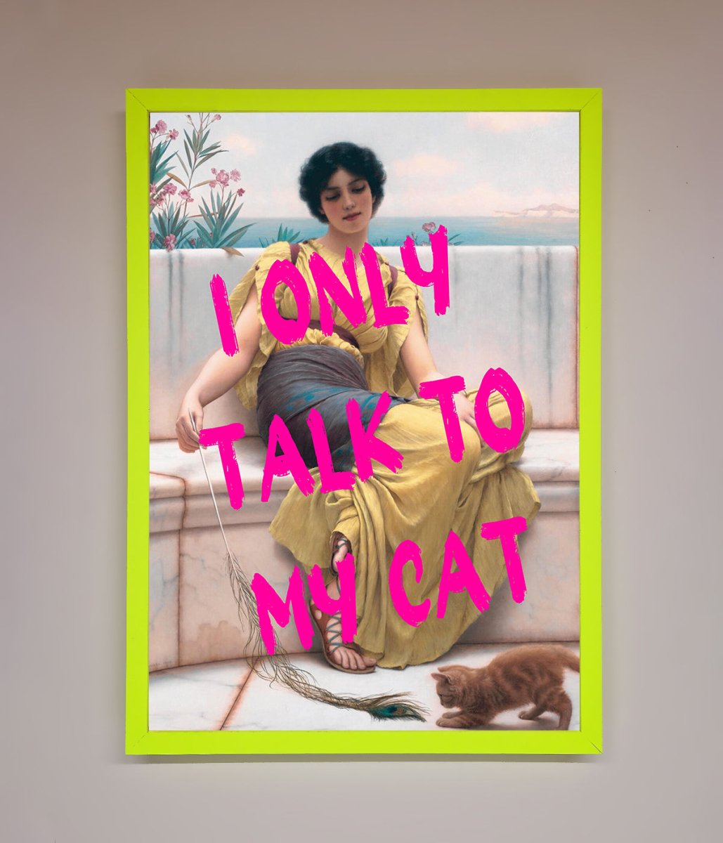 I Only Talk To My Cat Framed Wall Art - Zestio